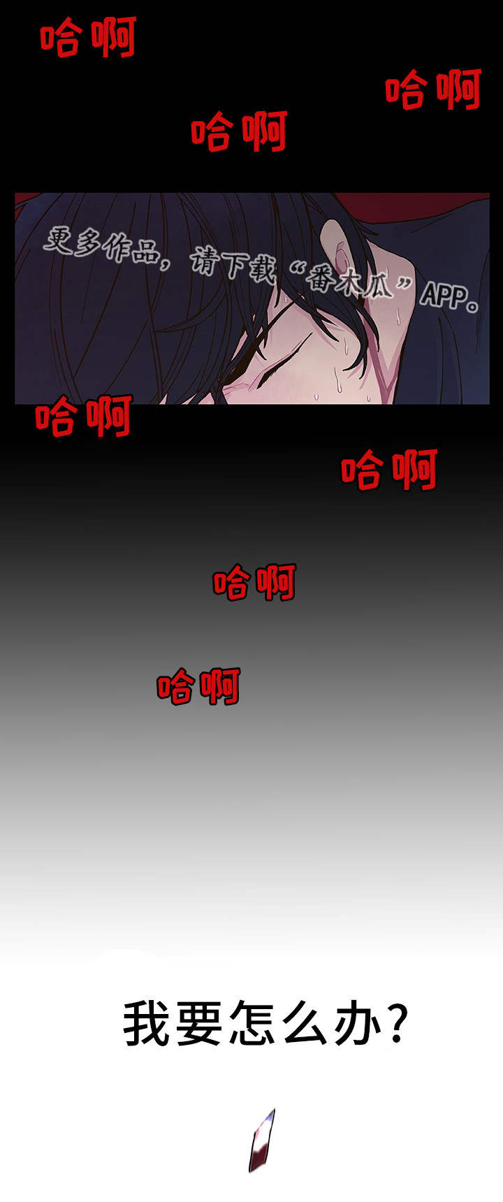 23.jpg