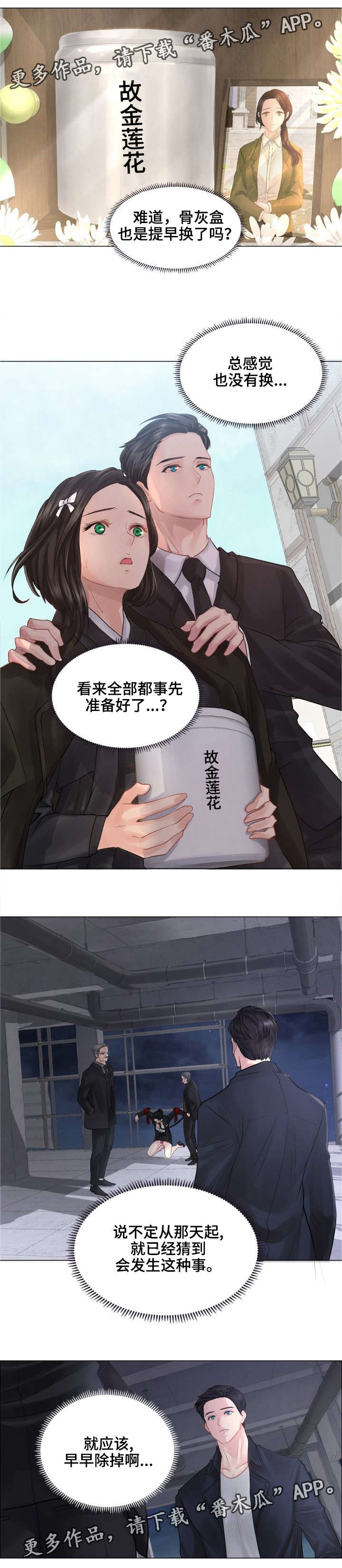 5.jpg