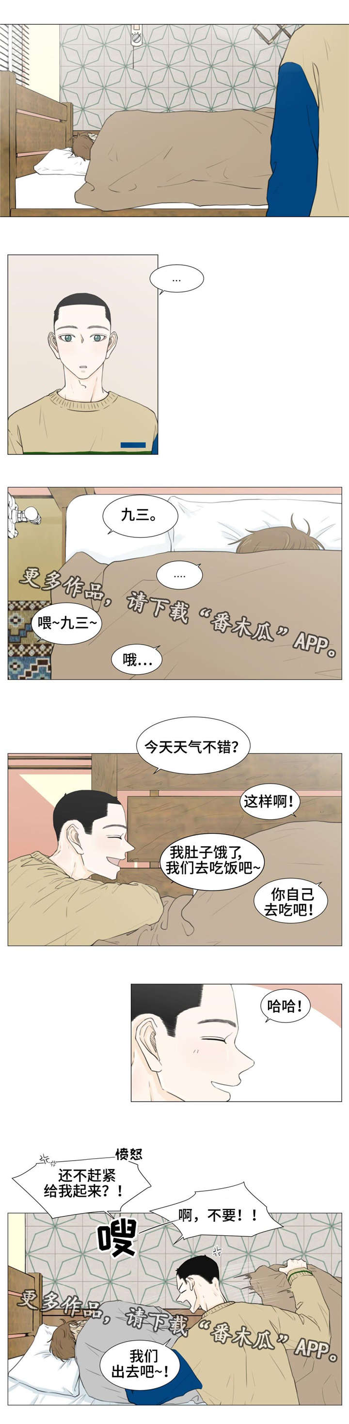 5.jpg
