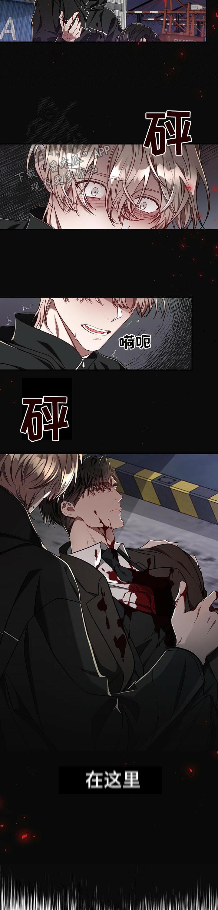 7.jpg