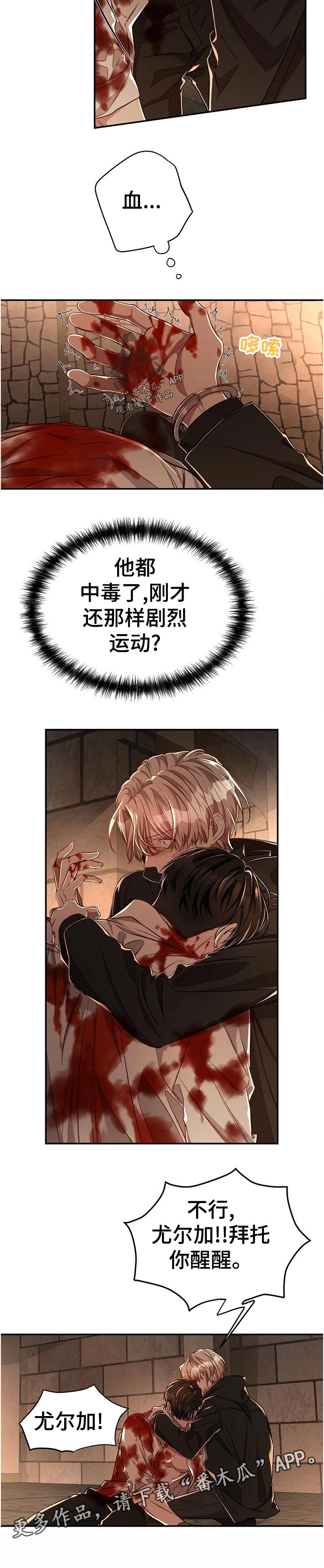 8.jpg