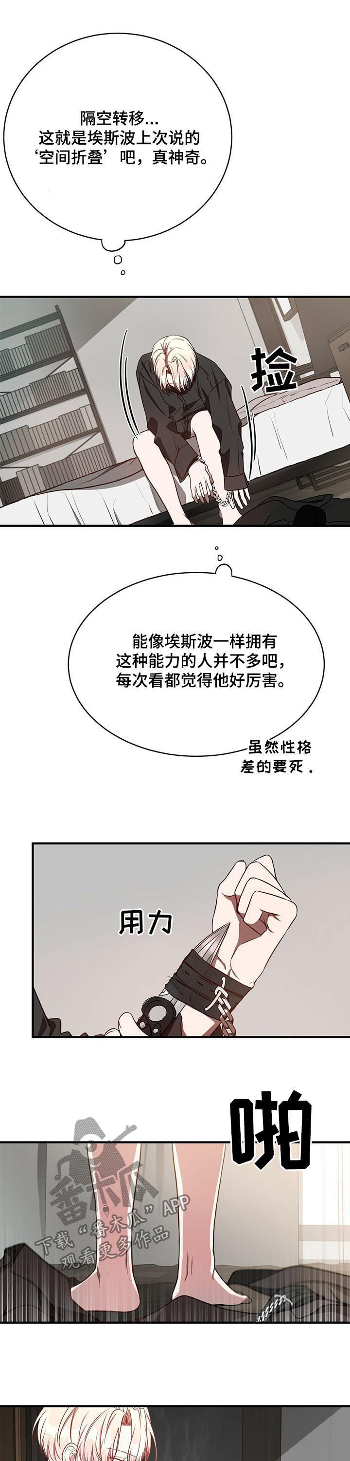 9.jpg
