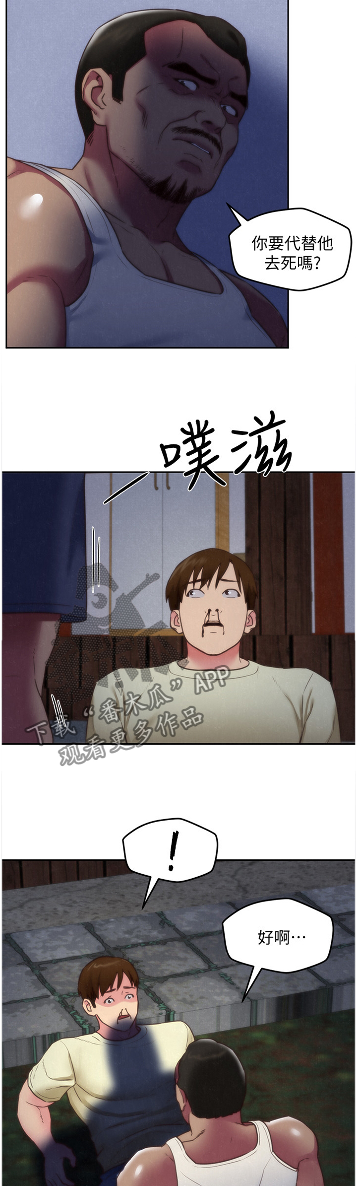 5.jpg