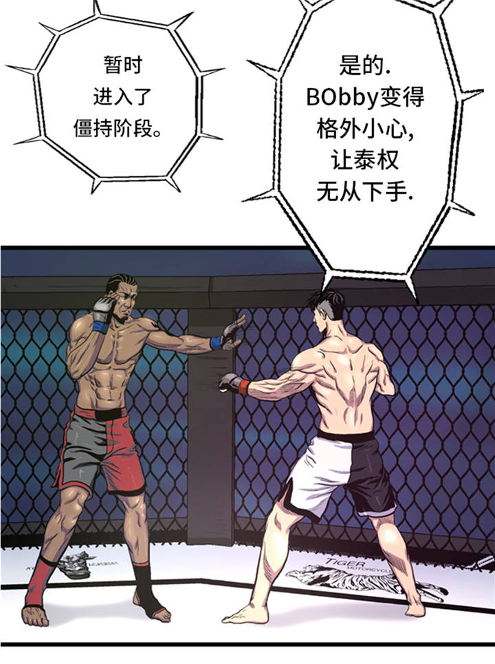 13.jpg