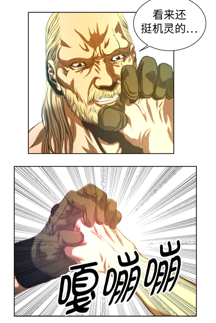 9.jpg