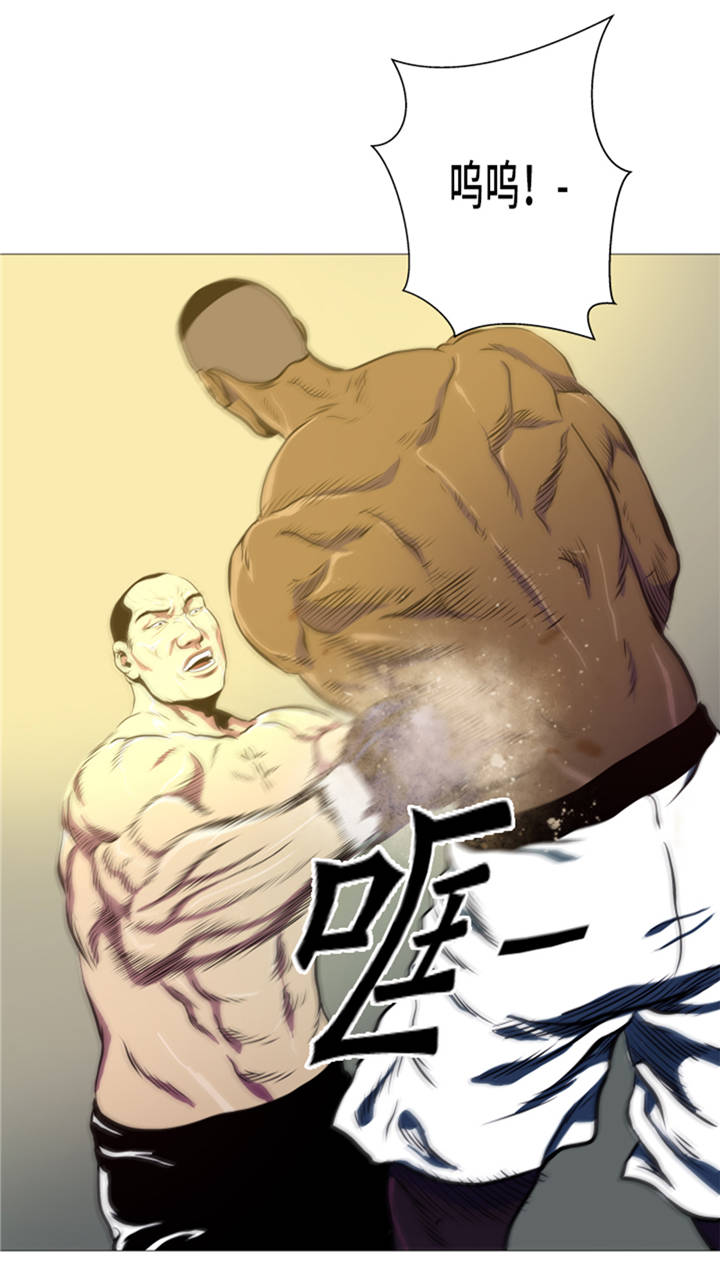 26.jpg
