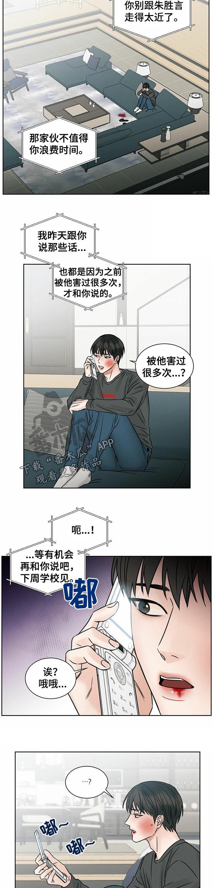 5.jpg