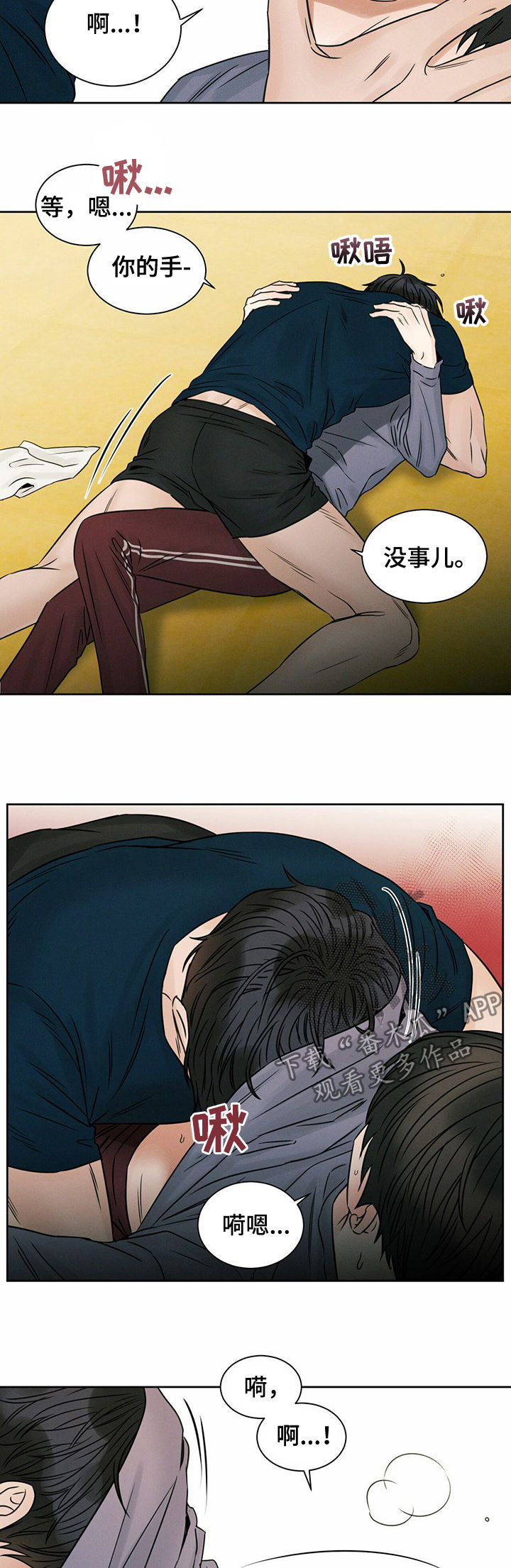 5.jpg