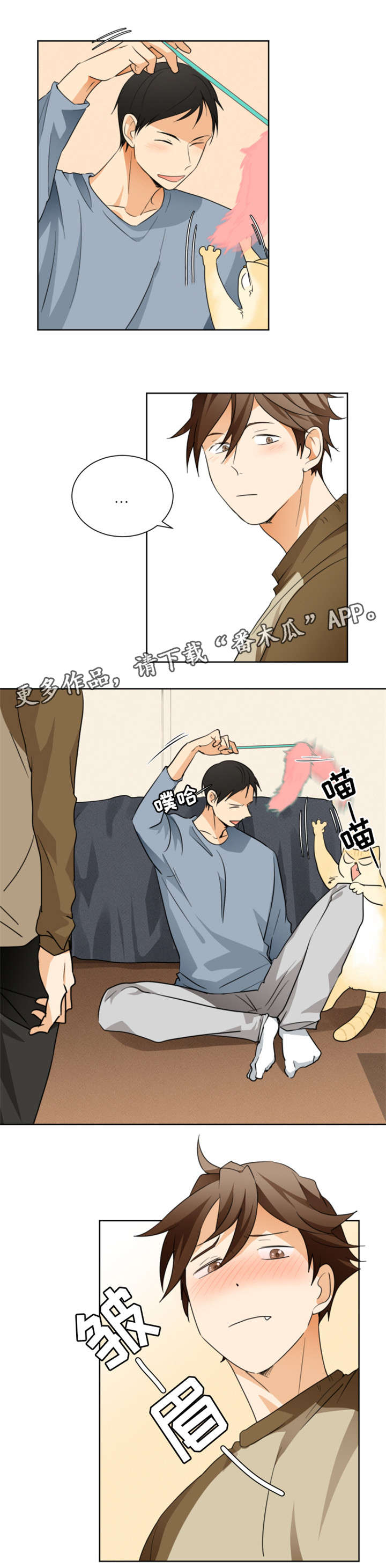 7.jpg