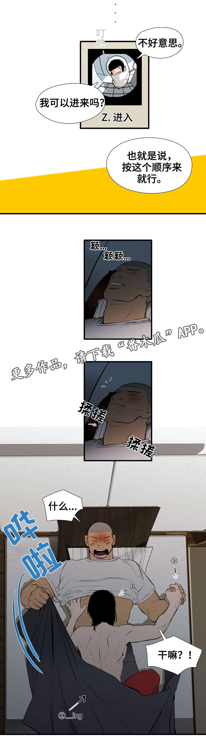 5.jpg