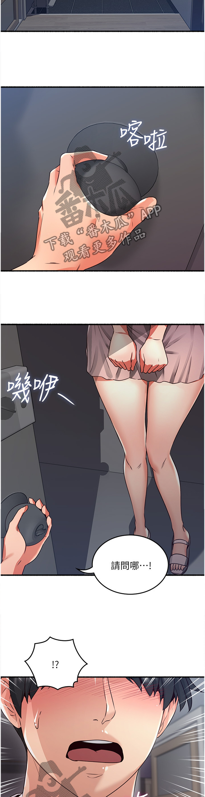 11.jpg
