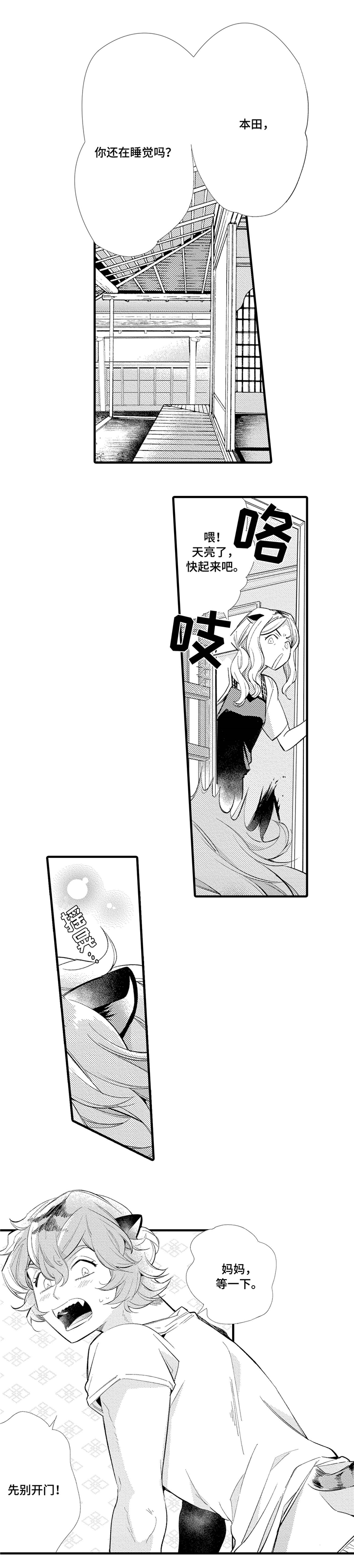 5.jpg