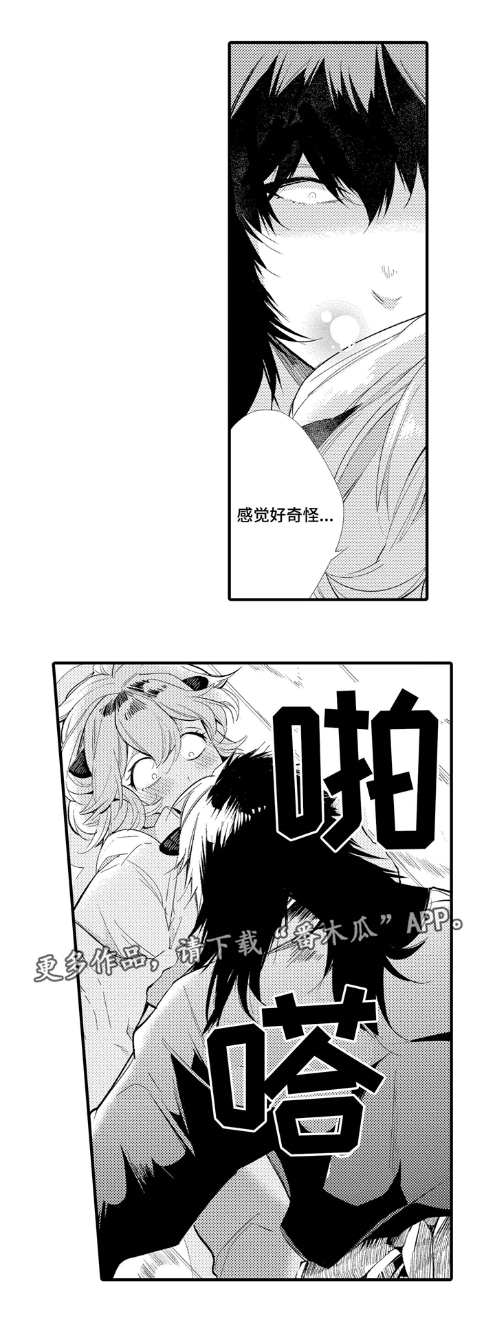 /template/pc/baozi/image/load.gif
