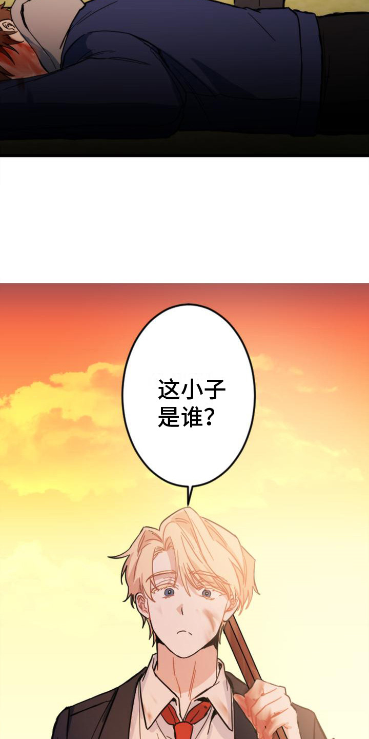 19