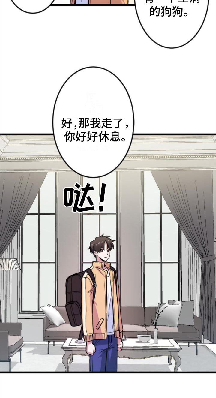 23