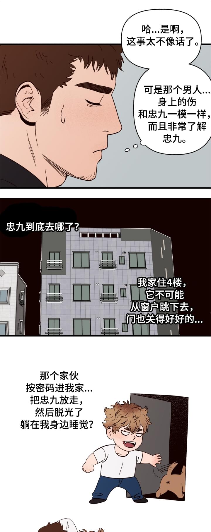 19.jpg