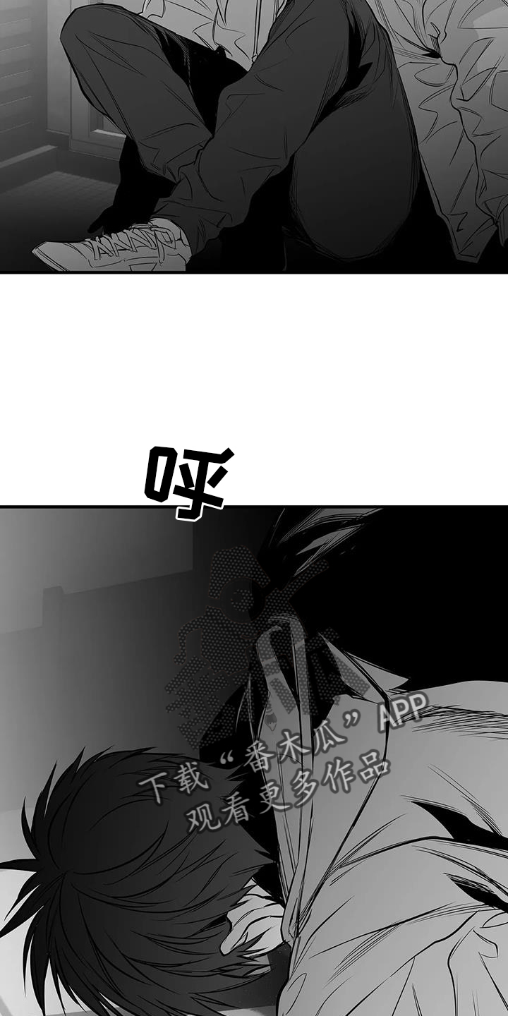 24.jpg