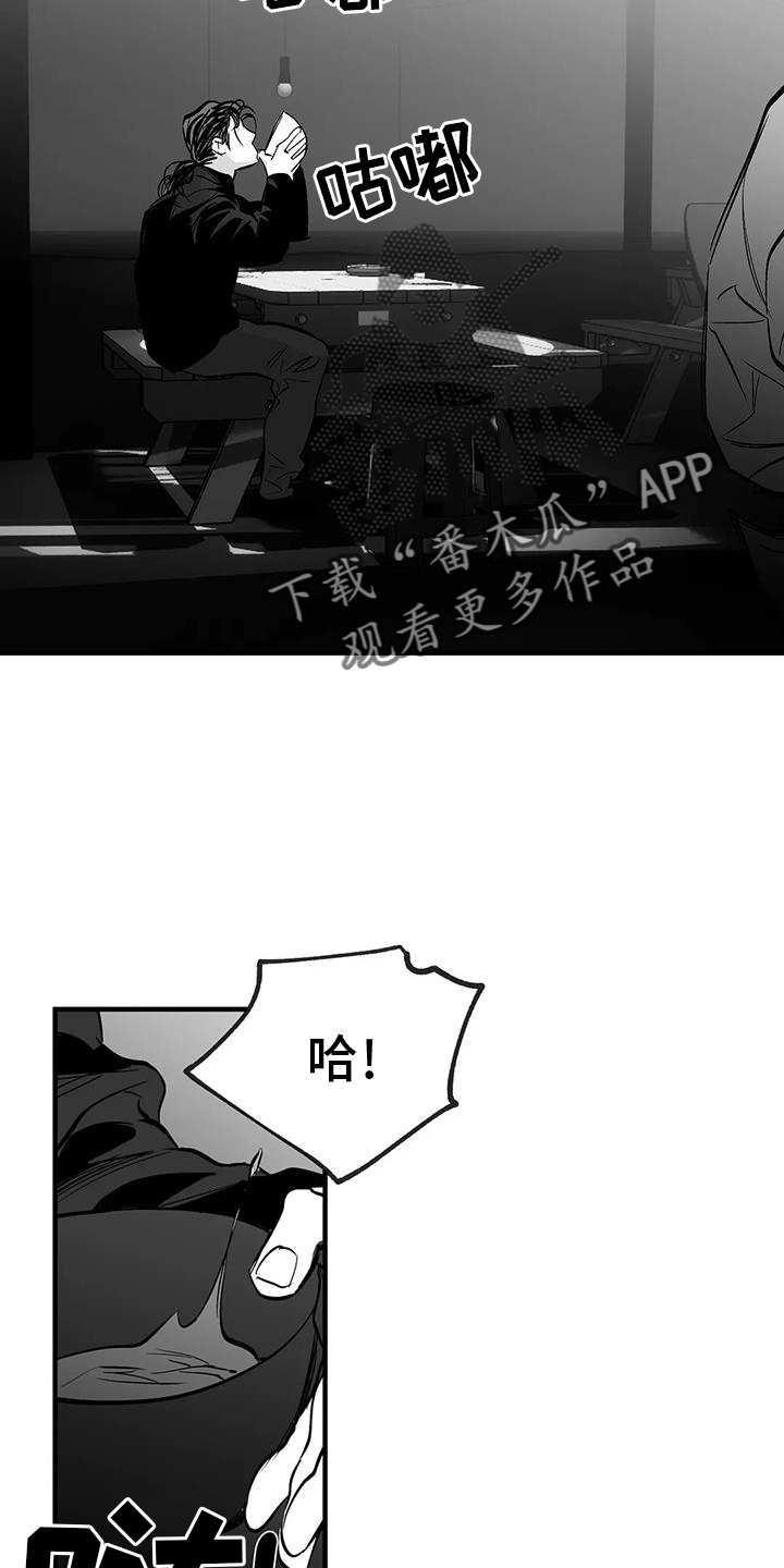 14.jpg