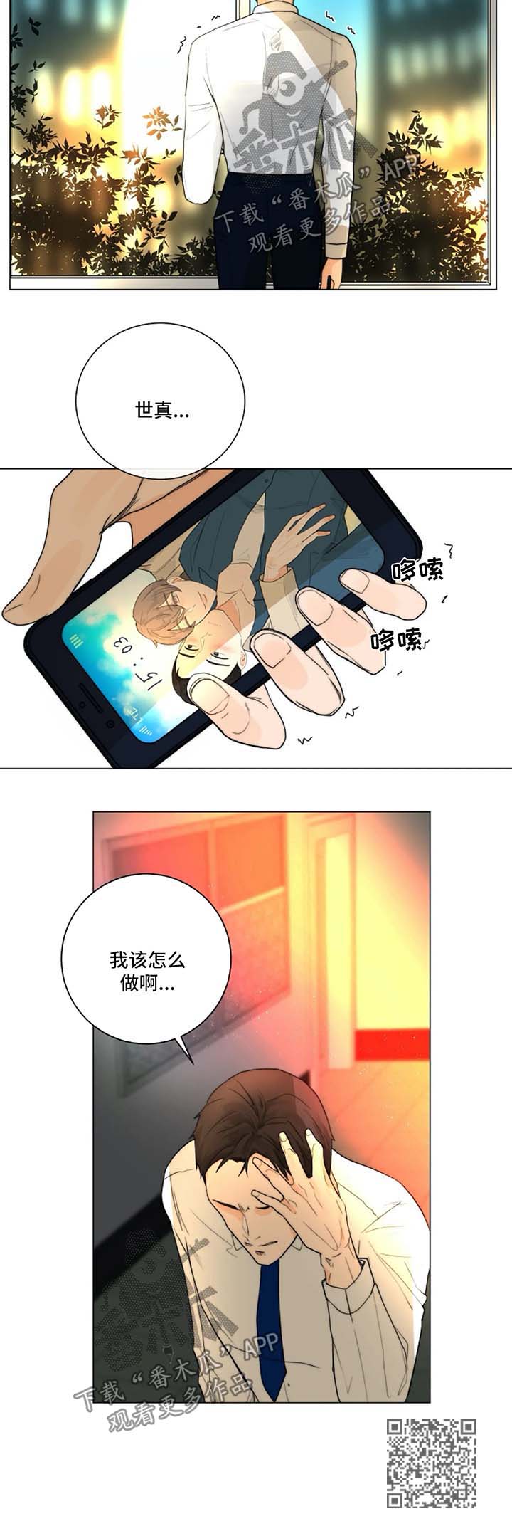 17.jpg