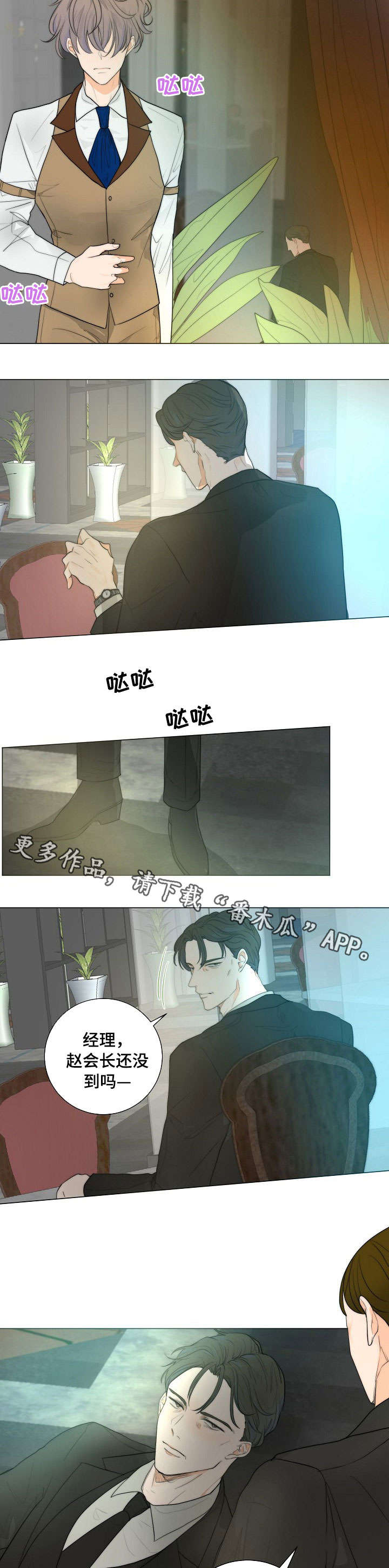 5.jpg