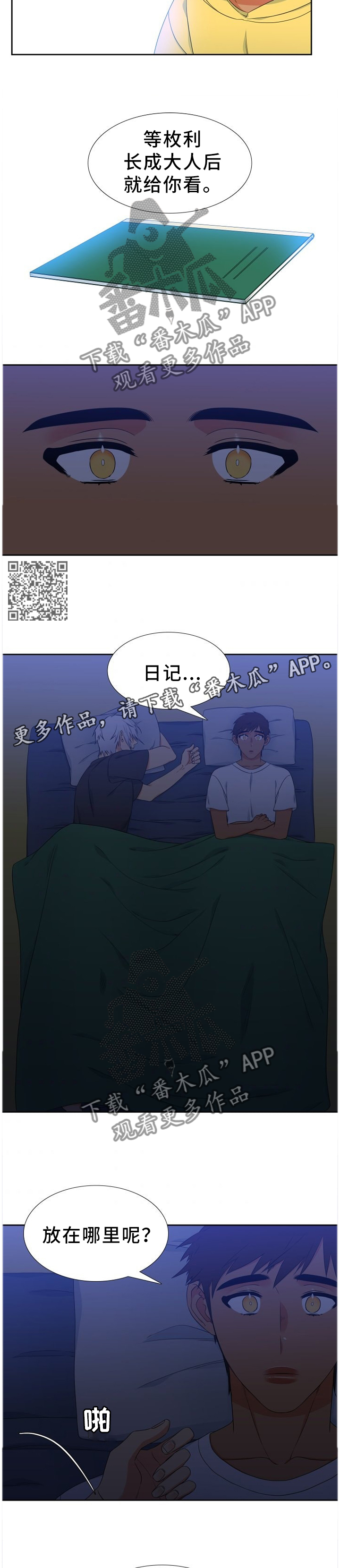 5.jpg