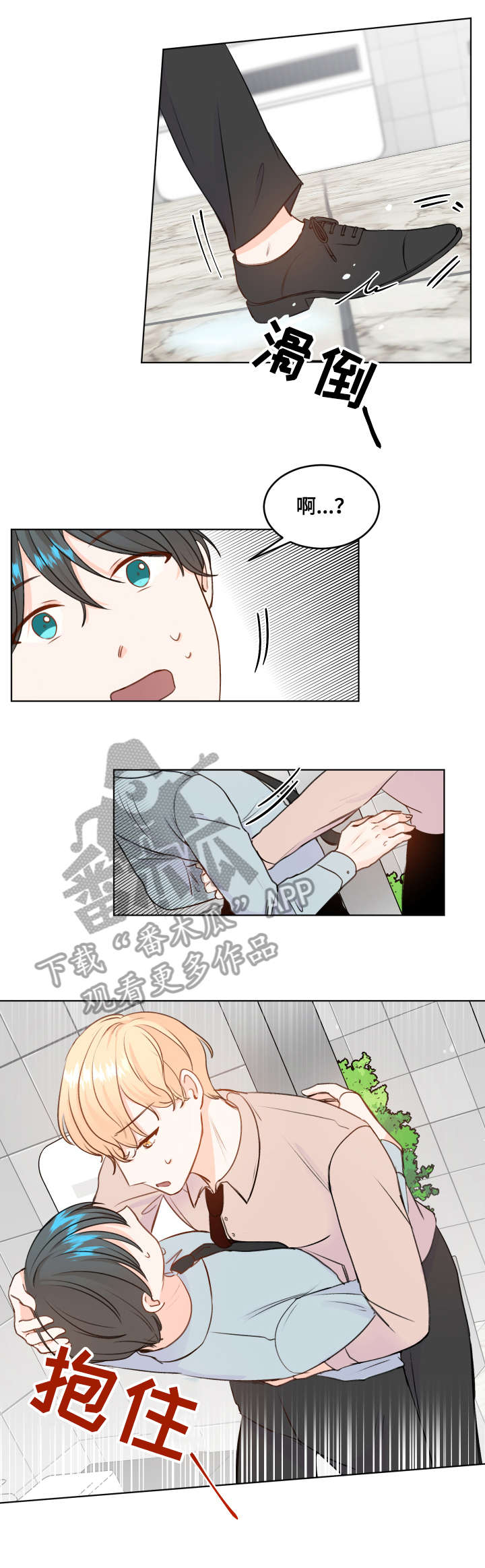 6.jpg