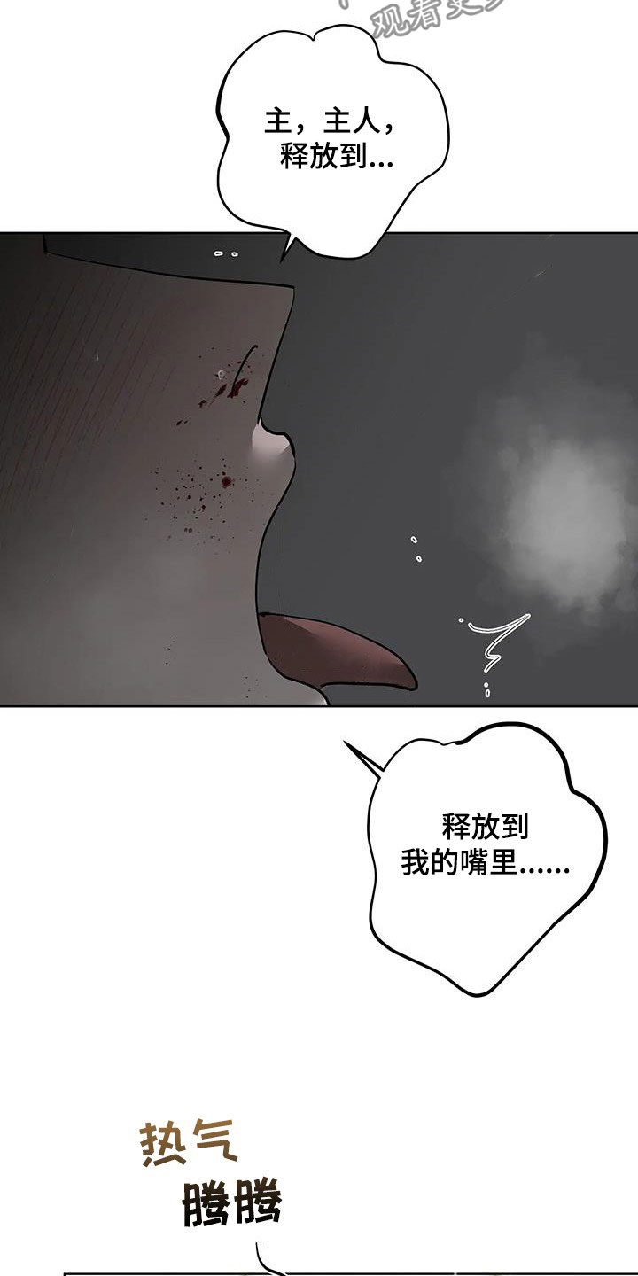 18.jpg