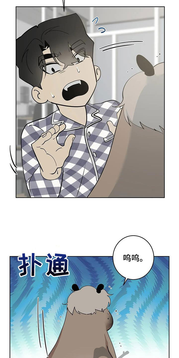 19.jpg