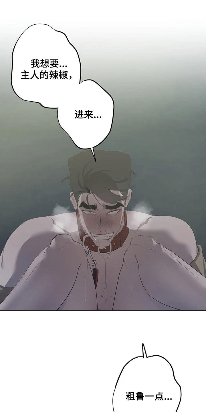 20.jpg