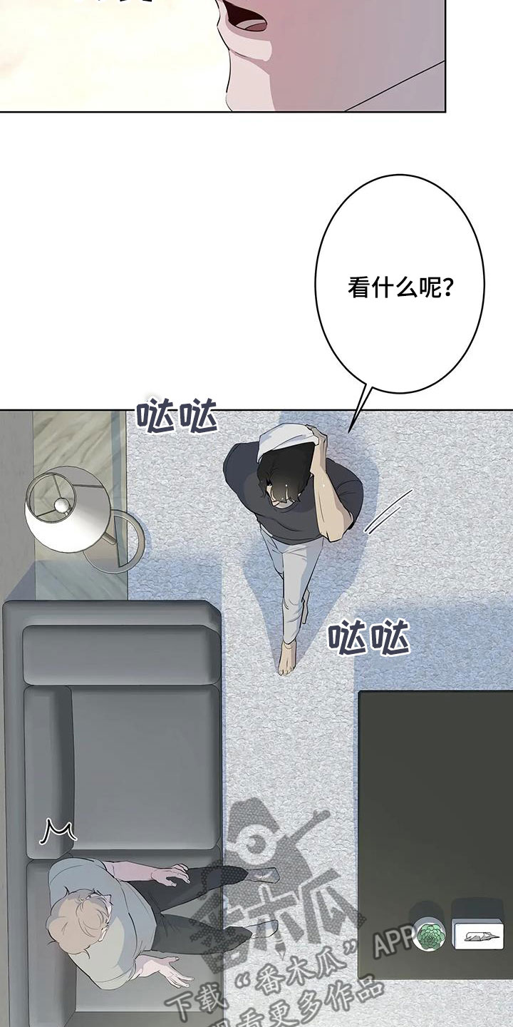 18.jpg