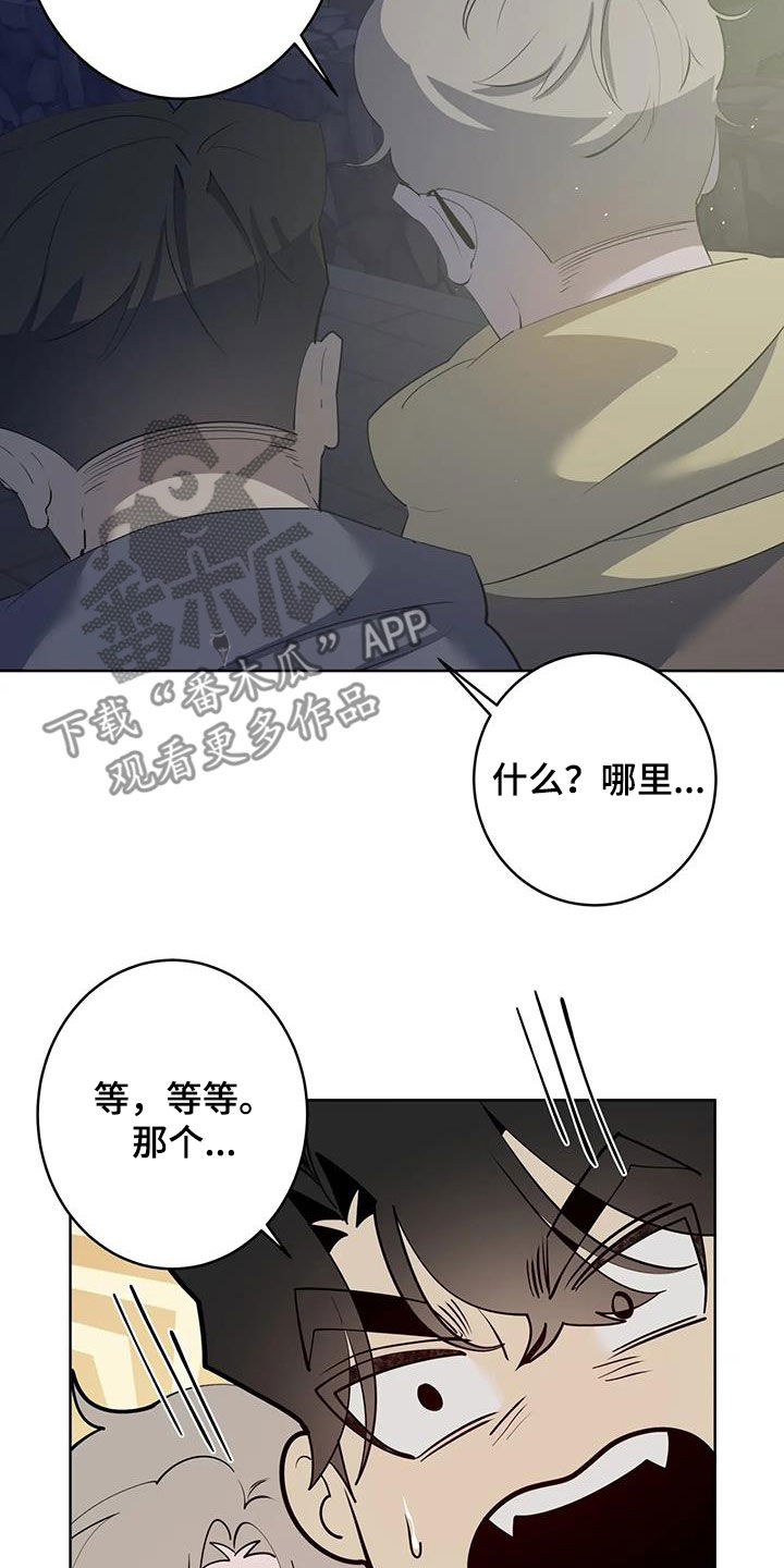 15.jpg
