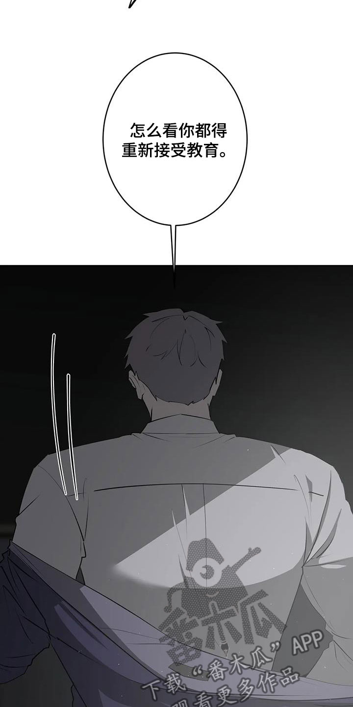 26.jpg