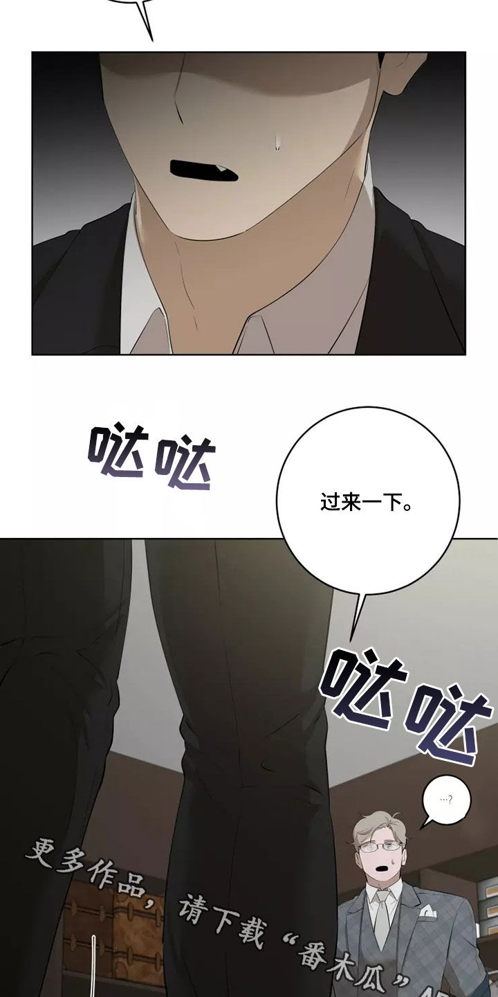 26.jpg