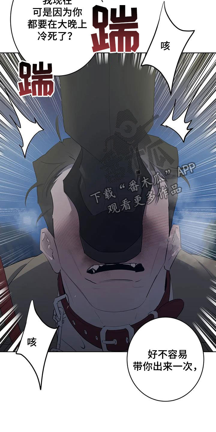 12.jpg