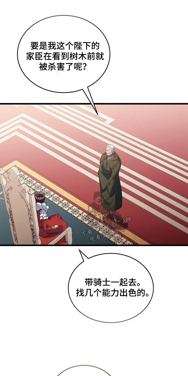 17.jpg
