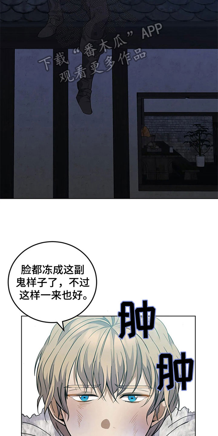 13.jpg