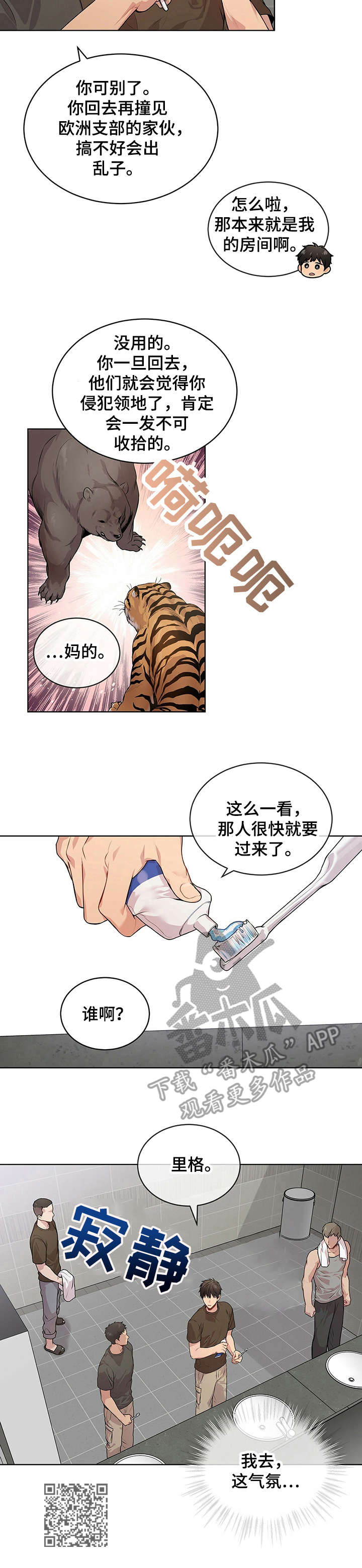 11.jpg