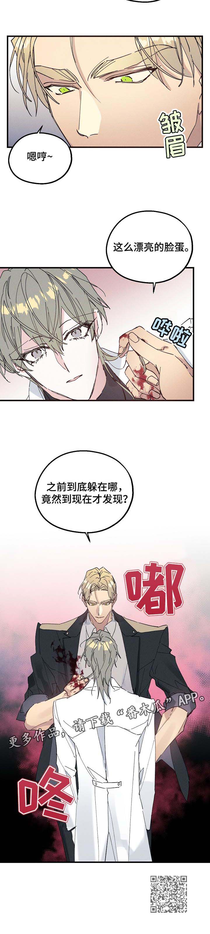11.jpg