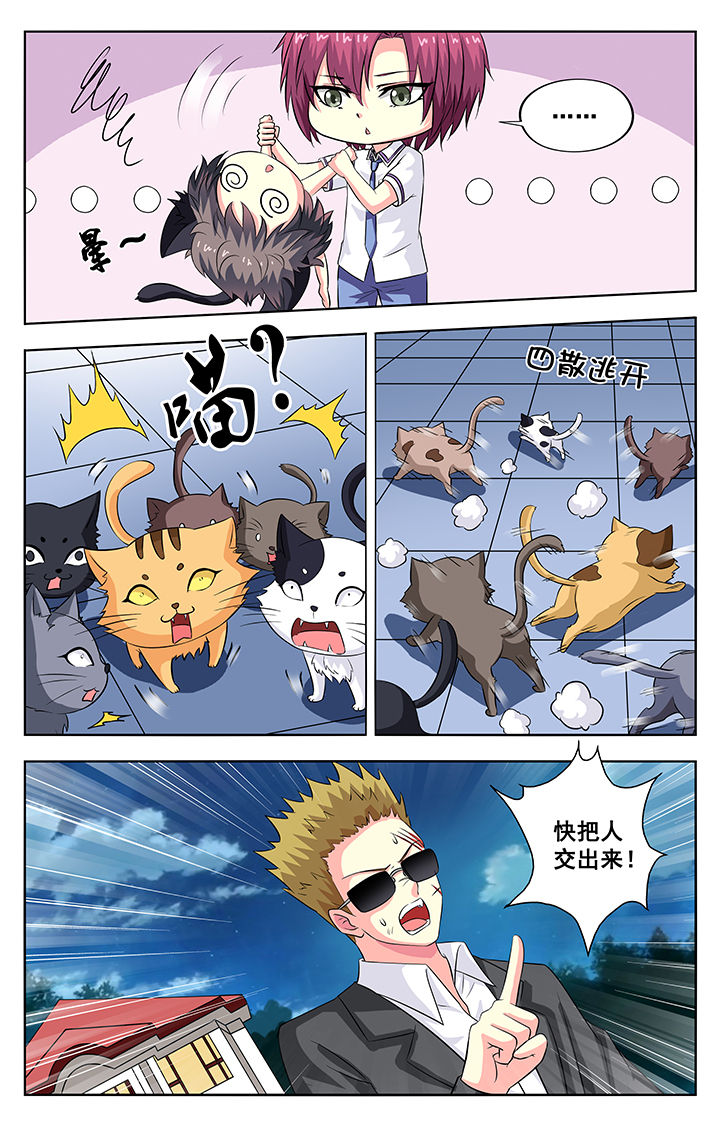 /template/pc/baozi/image/load.gif