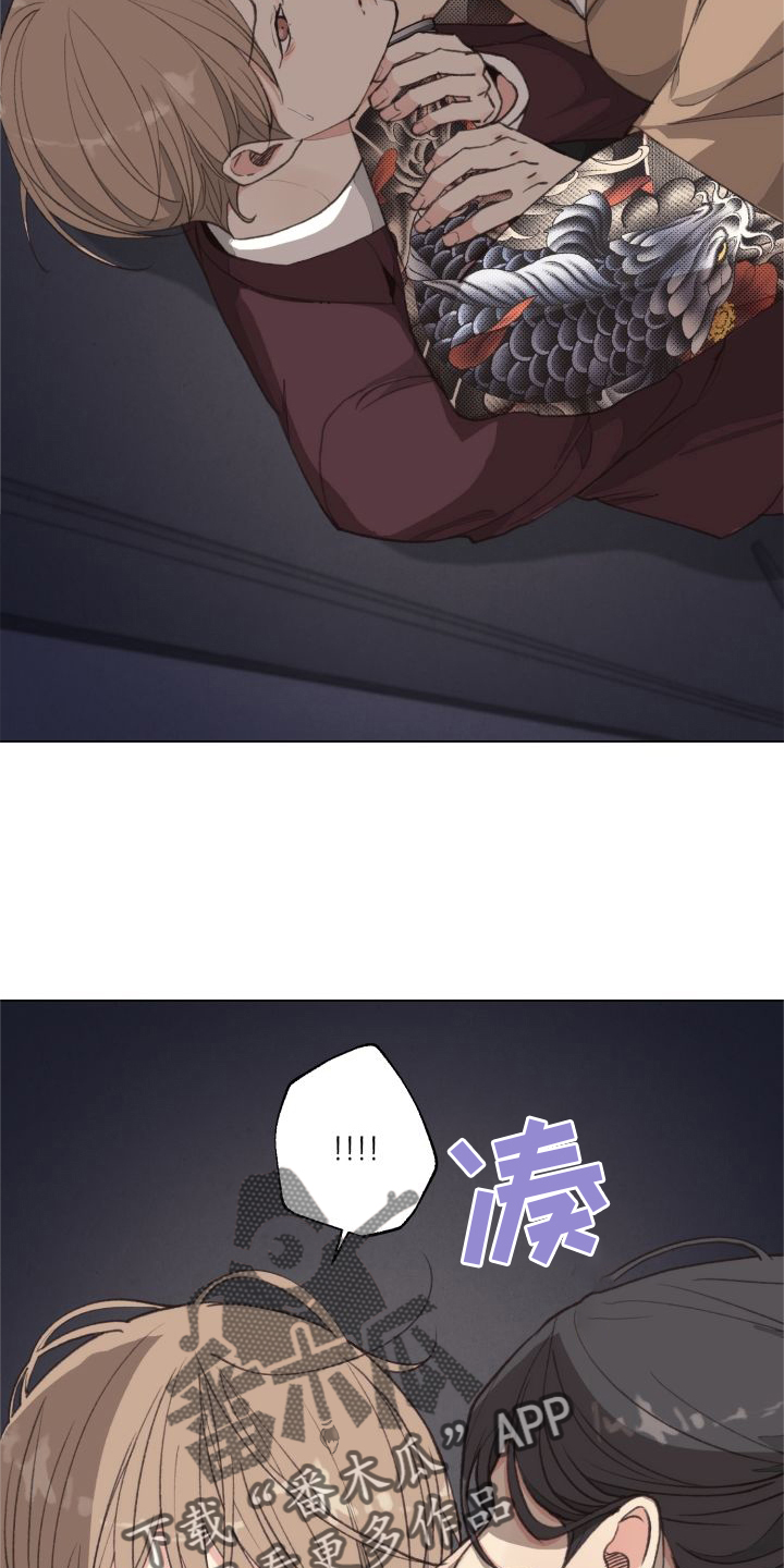 31.jpg