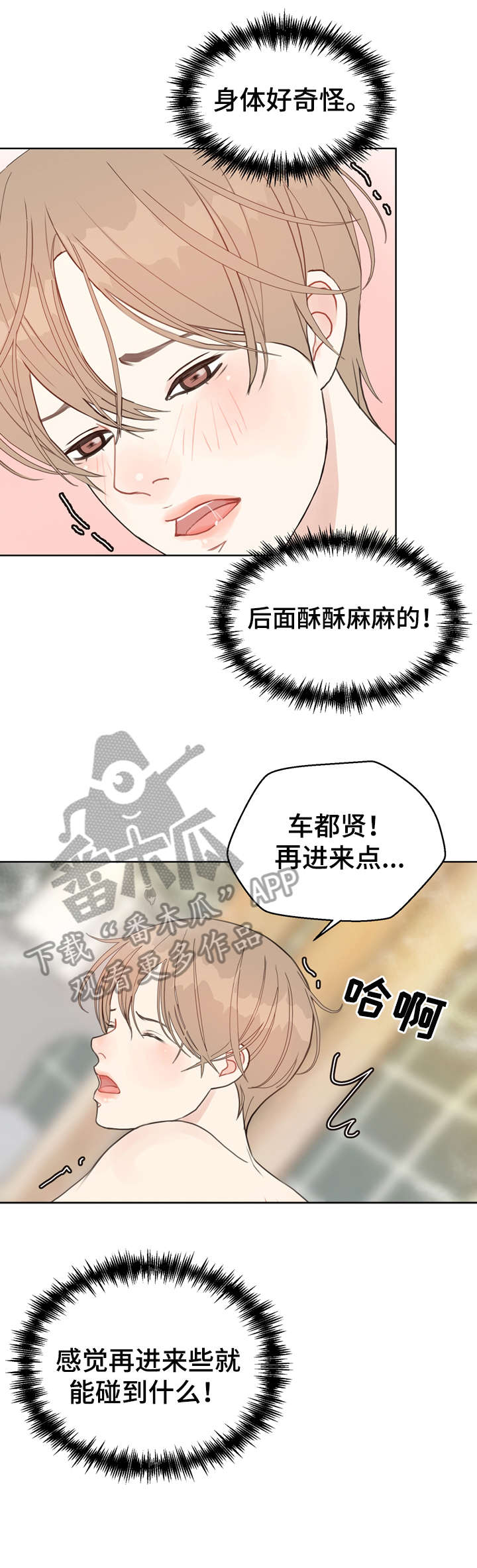 15.jpg