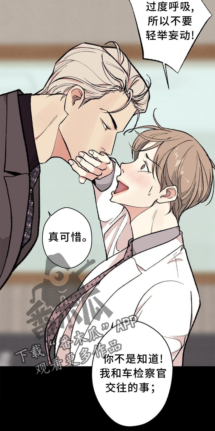 31