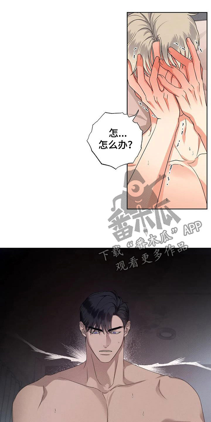 21