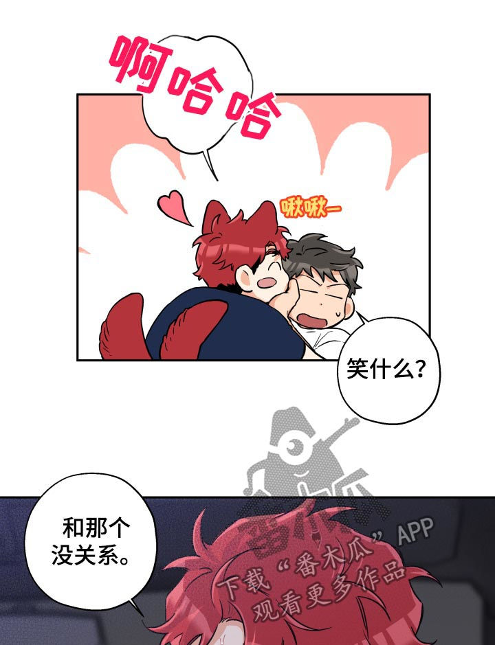 13.jpg