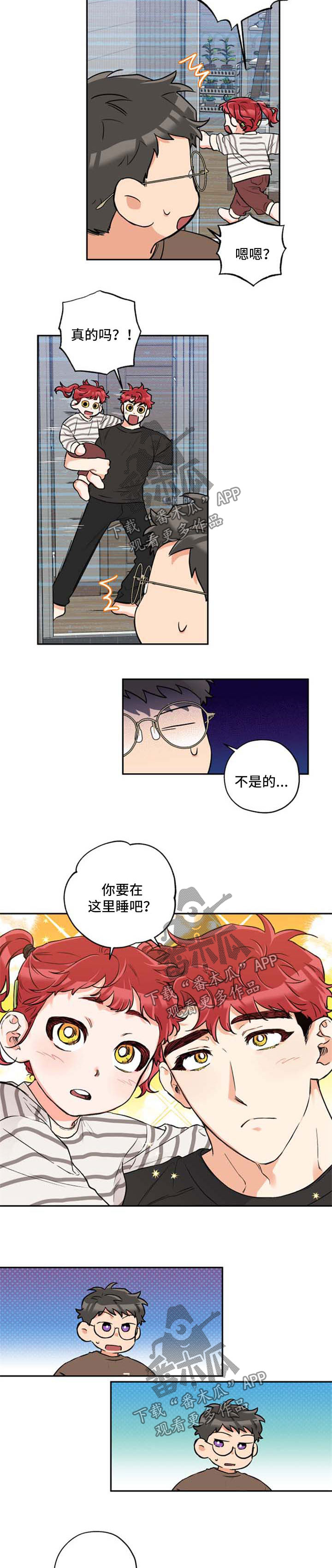 5.jpg