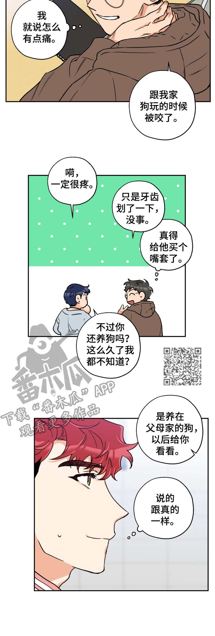 6.jpg