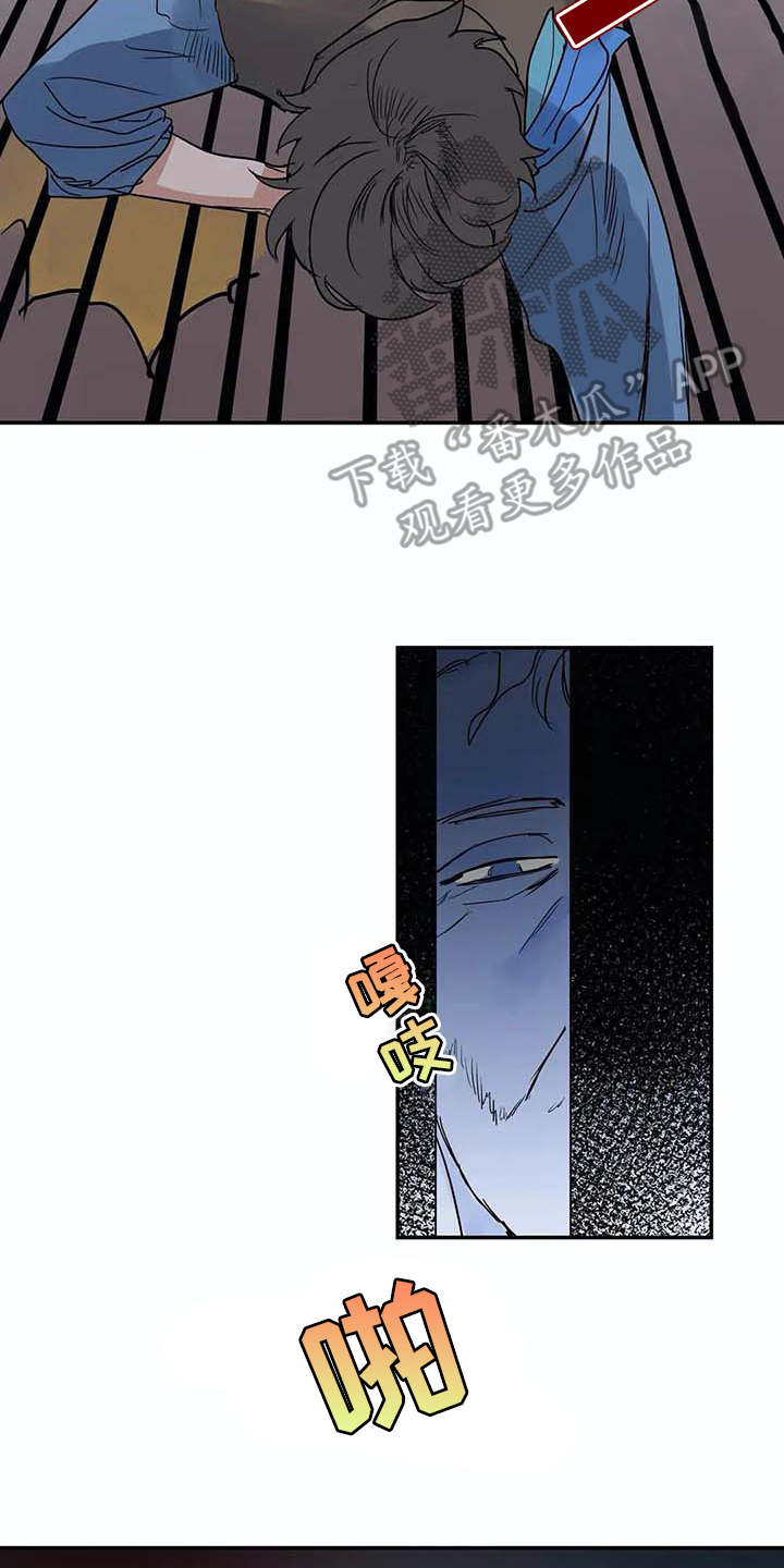 15.jpg
