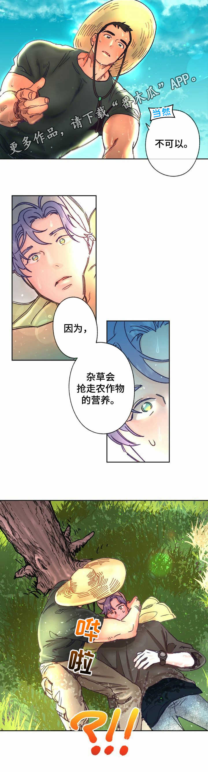 5.jpg