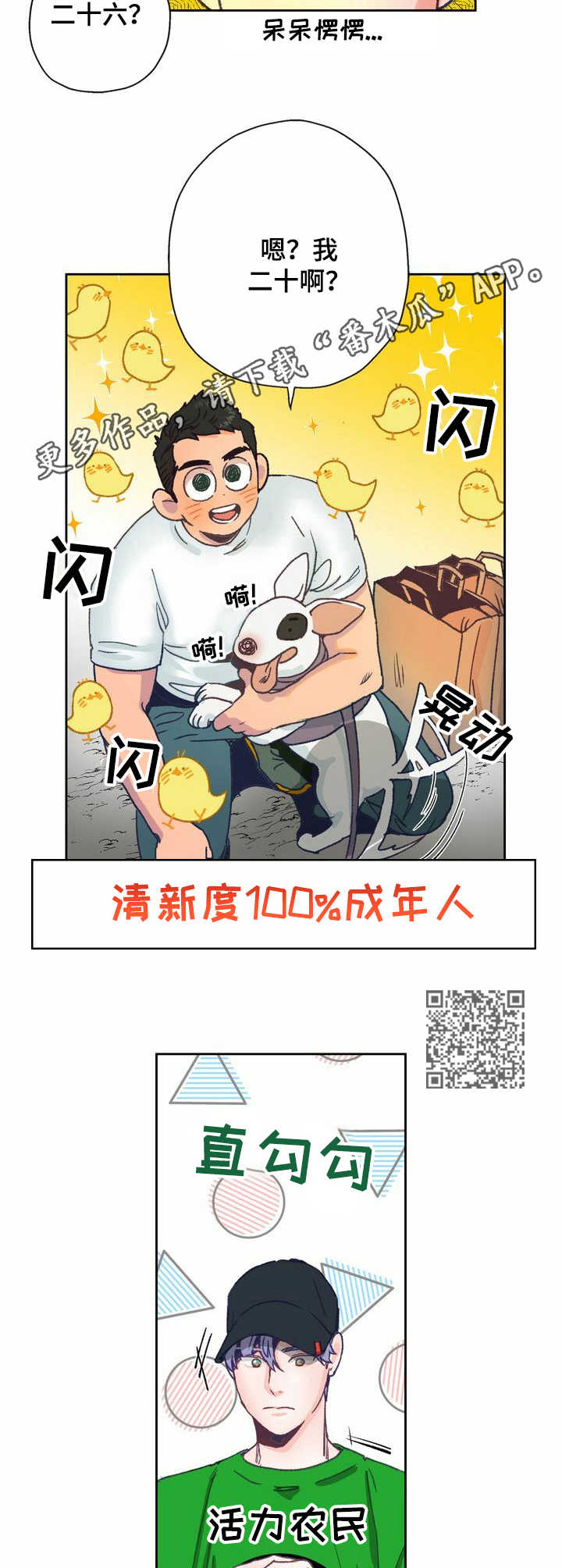 6.jpg