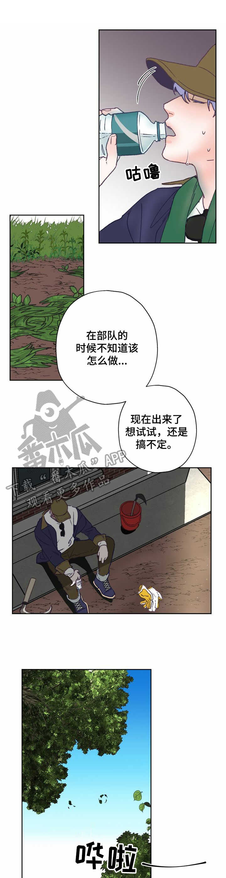 5.jpg